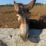 Dimora A' Muciara Favignana