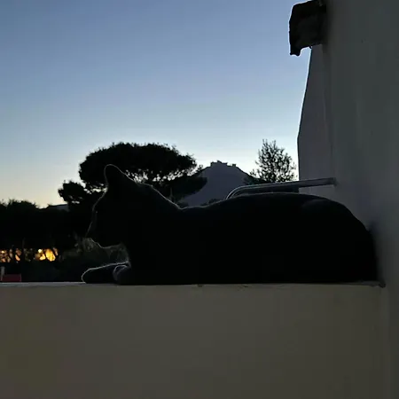 Dimora A' Muciara Pensionat 3*